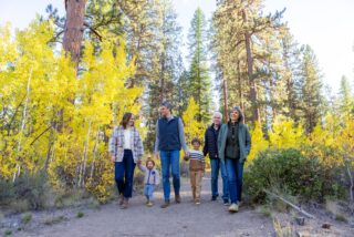 The Beauty and Importance of Parks